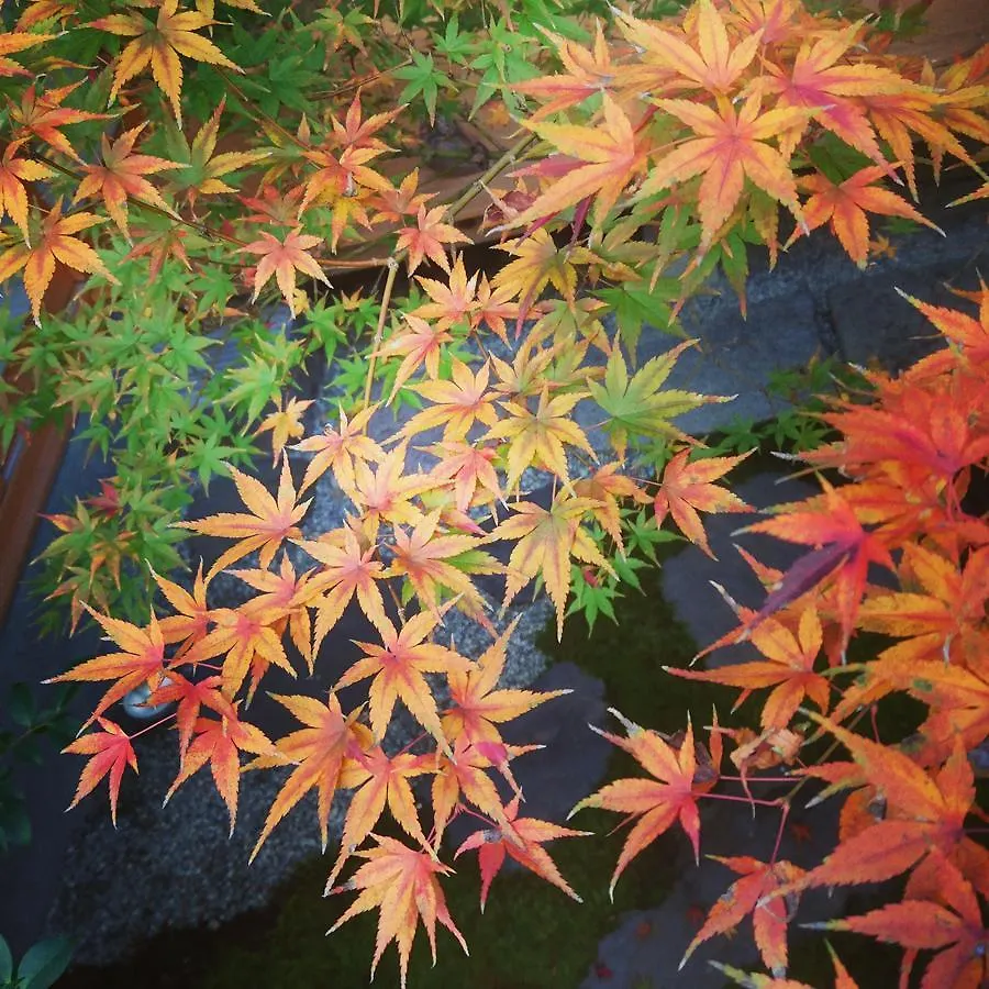 Yunokian Villa Kyoto Japan